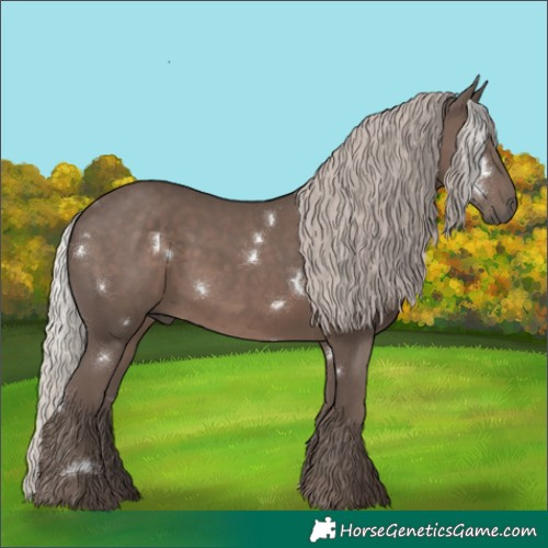 Horse Color:White Spotted Silver Black Rabicano