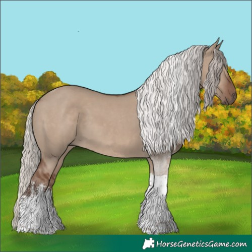 Horse Color:White Spotted Silver Grullo Tobiano