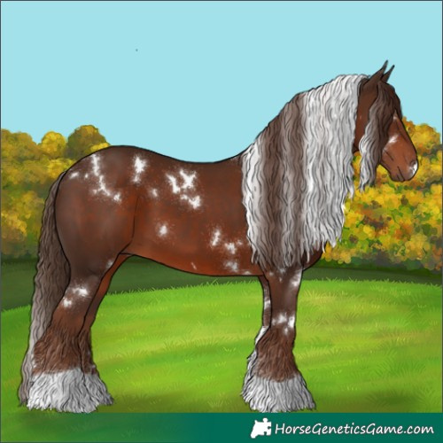 Horse Color:White Spotted Liver Chestnut Tobiano