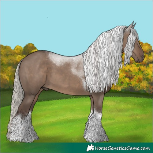 Horse Color:White Spotted Silver Grullo Tobiano
