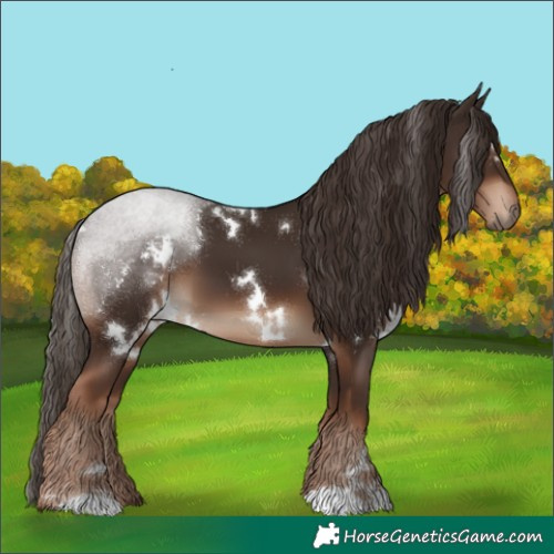 Horse Color:White Spotted Liver Chestnut 