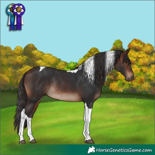 Horse Color:Brown Tobiano Rabicano 