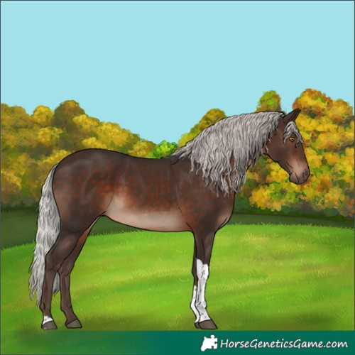 Horse Color:Silver Brown Tobiano