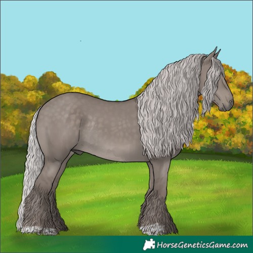 Horse Color:Platinum Silver Grullo Rabicano