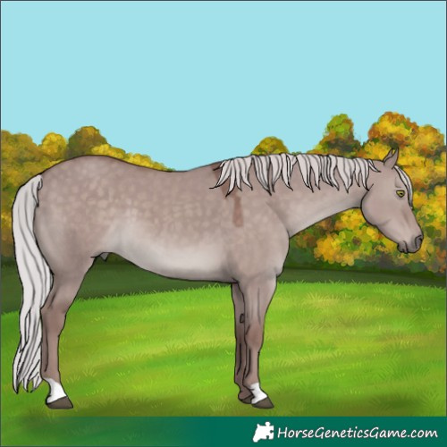 Horse Color:Platinum Chocolate Silver Grullo
