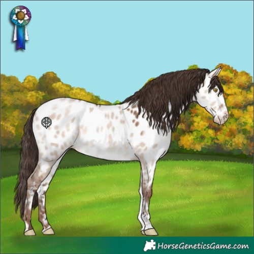 Horse Color:Sable Champagne Dun Tobiano Appaloosa