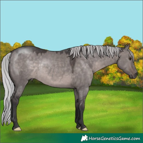 Horse Color:Platinum Silver Brown Dun Rabicano