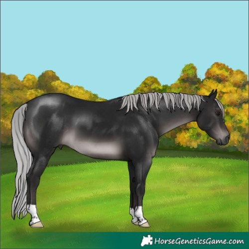 Horse Color:Gray Platinum Silver Brown