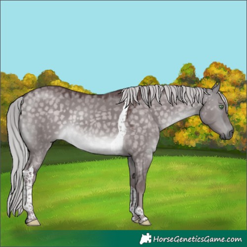 Horse Color:Platinum Chocolate Silver Buckskin Dun Tobiano