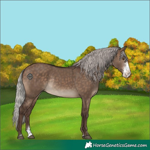Horse Color:Silver Brown Dun Sabino Rabicano 