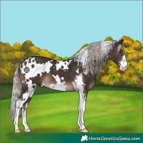 Horse Color:White Spotted Silver Brown Sabino