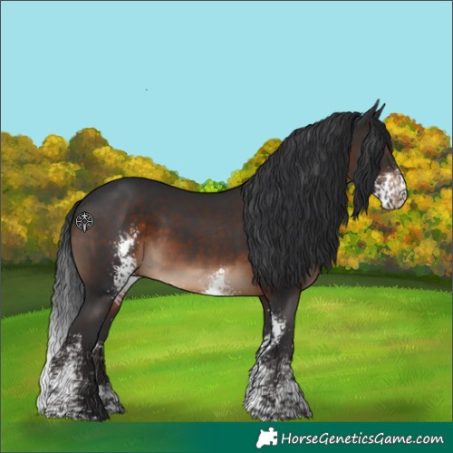 Horse Color:Brown Sabino Rabicano 
