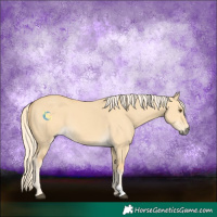 Horse Color:Palomino Dun