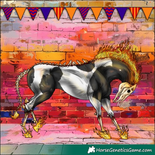 Horse Color:Black Tobiano Blanket