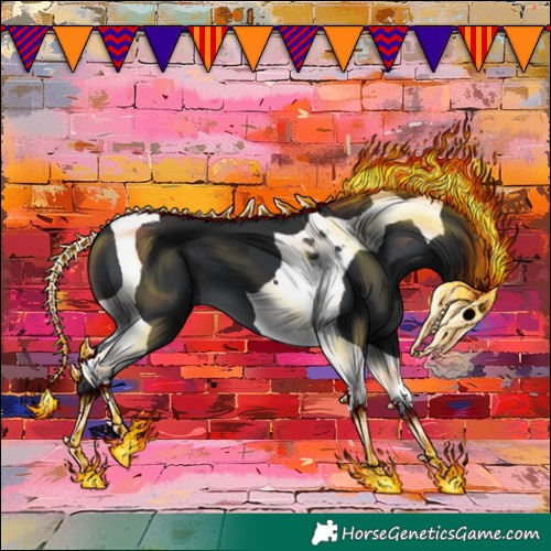 Horse Color:Black Tobiano 