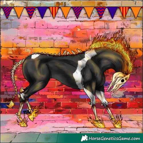 Horse Color:Black Tobiano