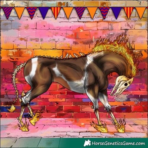 Horse Color:Bay Tobiano 