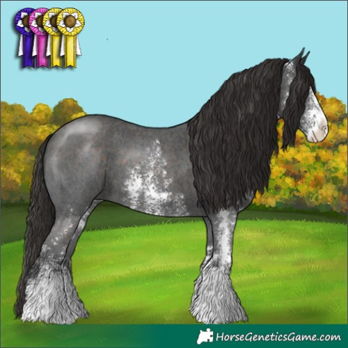 Horse Color:Liver Chestnut Sabino