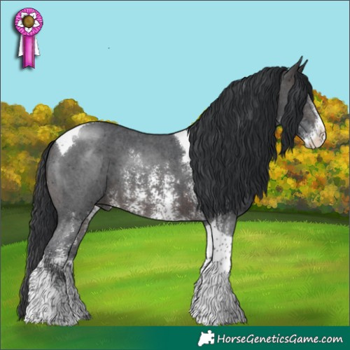 Horse Color:Brown Sabino Tobiano