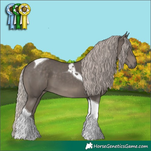 Horse Color:Silver Black Tobiano 