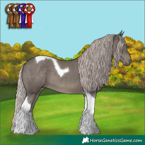 Horse Color:Silver Black Tobiano