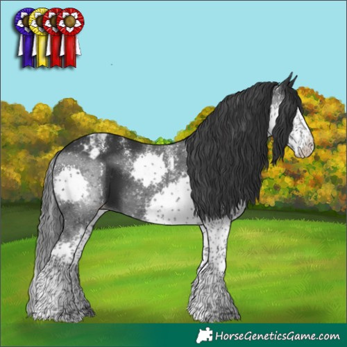 Horse Color:Powder White Platinum Black Splash Appaloosa 