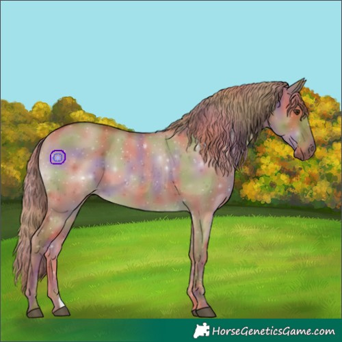 Horse Color:Nacre Red Dun