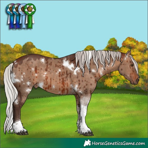 Horse Color:White Spotted Silver Brown Dun Tobiano Brindle
