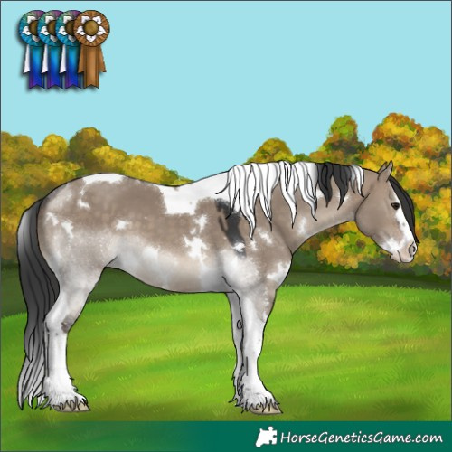 Horse Color:White Spotted Brown Dun Splash Tobiano