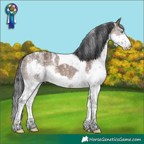 Horse Color:Powder White Brown Dun Splash Tobiano Rabicano