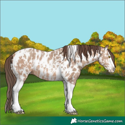 Horse Color:Amber Champagne Sabino Tobiano Near Leopard and Amber Champagne Sabino Splash Tobiano Near Leopard