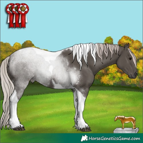 Horse Color:Silver Black Tobiano 