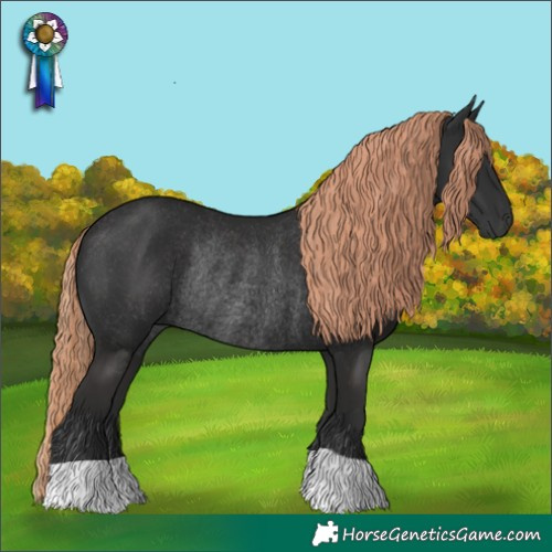 Horse Color:Liver Chestnut Rabicano