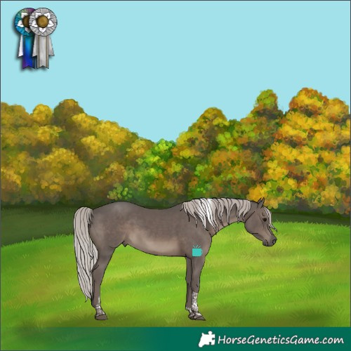 Horse Color:Silver Black Tobiano