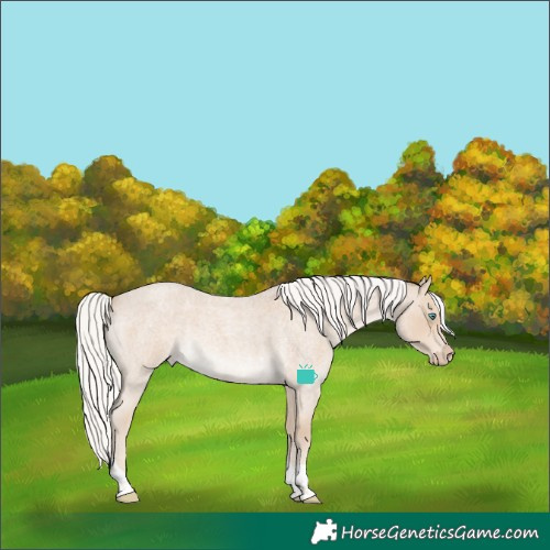 Horse Color:Silver Smoky Creme Roan Tobiano