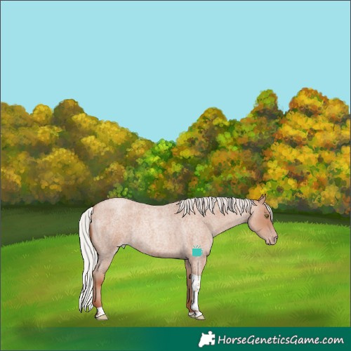 Horse Color:Silver Classic Champagne Roan Tobiano 