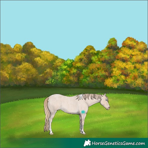 Horse Color:Smoky Creme Roan Tobiano 