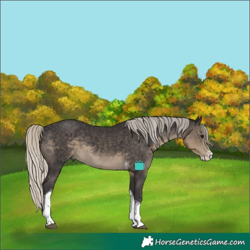 Horse Color:Silver Smoky Black Splash Tobiano 