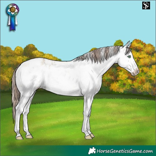 Horse Color:White Spotted Amber Champagne Dun Sabino Appaloosa