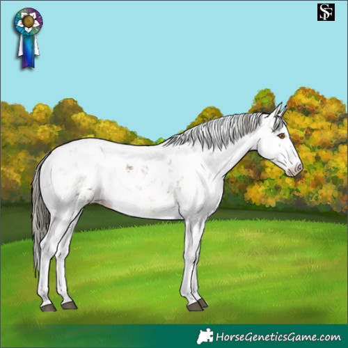 Horse Color:Buckskin Sabino 