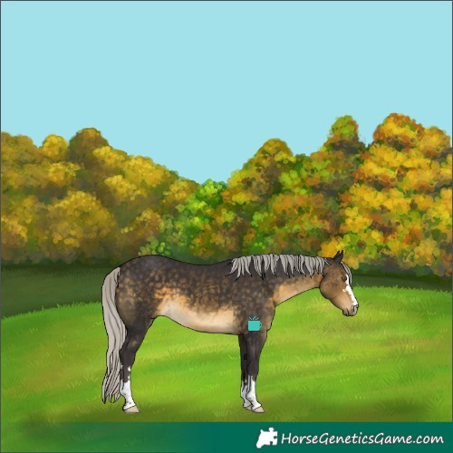 Horse Color:Silver Buckskin 