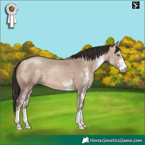 Horse Color:White Spotted Sable Champagne Dun