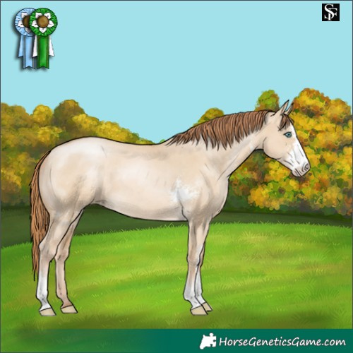 Horse Color:Smoky Grullo Pearl Sabino