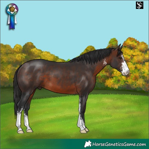 Horse Color:Brown Sabino
