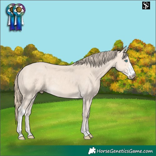 Horse Color:Perlino Sabino 