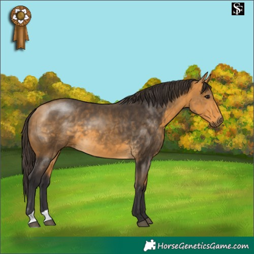 Horse Color:Buckskin