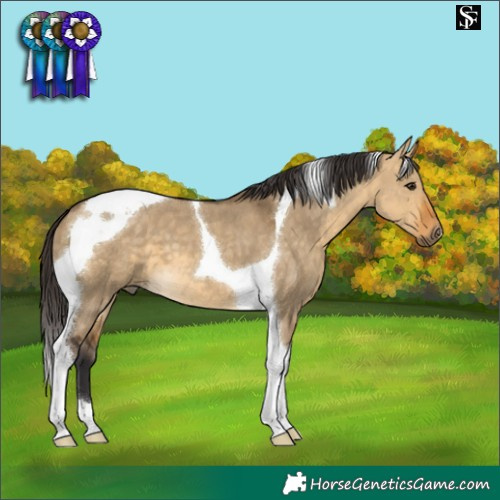 Horse Color:Buckskin Dun Tobiano
