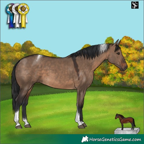 Horse Color:Brown Dun Tobiano