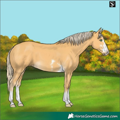 Horse Color:Pseudo Palomino