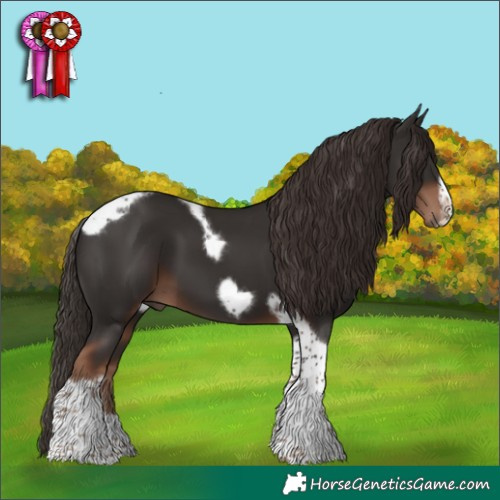Horse Color:Liver Chestnut Tobiano Frame